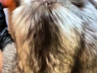 Redhead MILF in Sexy Lingerie Takes on Big Cock POV Style