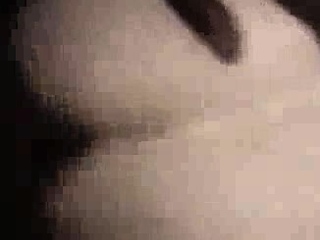 Working blonde bbw in stockings spreads legs oo